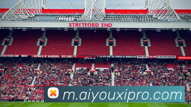 爱游戏平台生态图